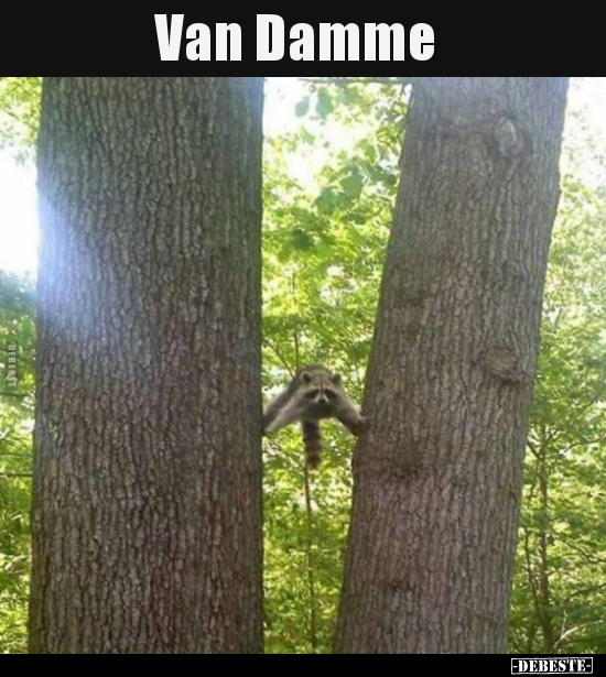 Van Damme.. - Lustige Bilder | DEBESTE.de