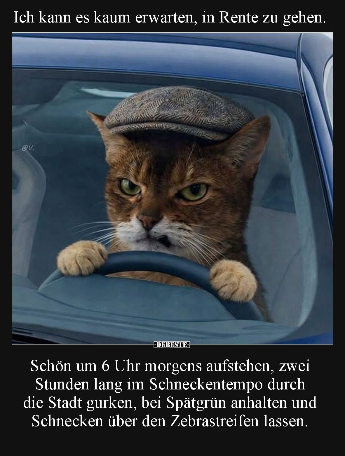 Ich kann es kaum erwarten, in Rente zu gehen. Schön um 6 Uhr morgens aufstehen, zwei Stunden lang im Schneckentempo durch die...