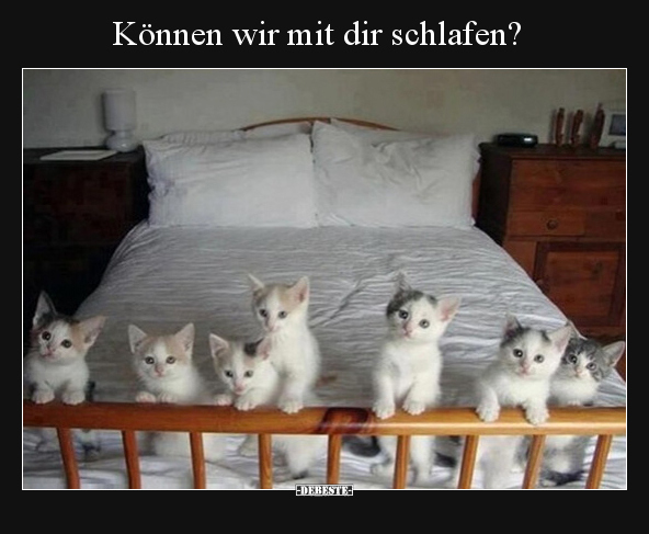 Können wir mit dir schlafen?.. - Lustige Bilder | DEBESTE.de