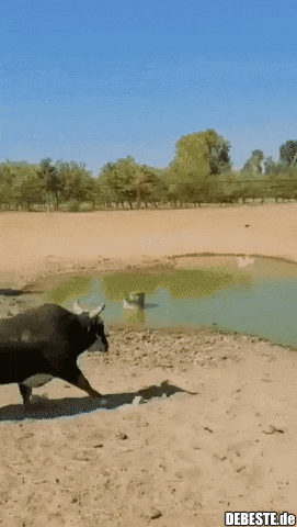 Hätte ich nicht für möglich gehalten..