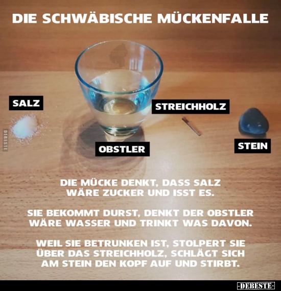 Die Schwäbische Mückenfalle. - Lustige Bilder | DEBESTE.de