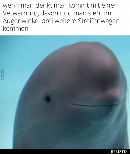 Wenn man denkt man kommt mit einer Verwarnung.. - Lustige Bilder | DEBESTE.de