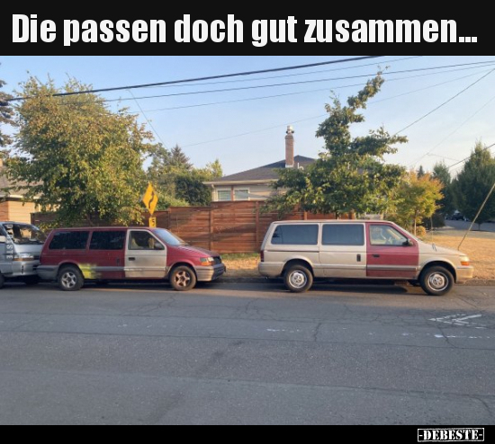 Die passen doch gut zusammen...
