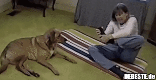 Ach, das kann ich besser..