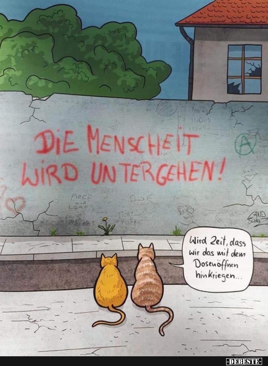 Wird Zeit, dass wir das mit dem Dosenöffnern..