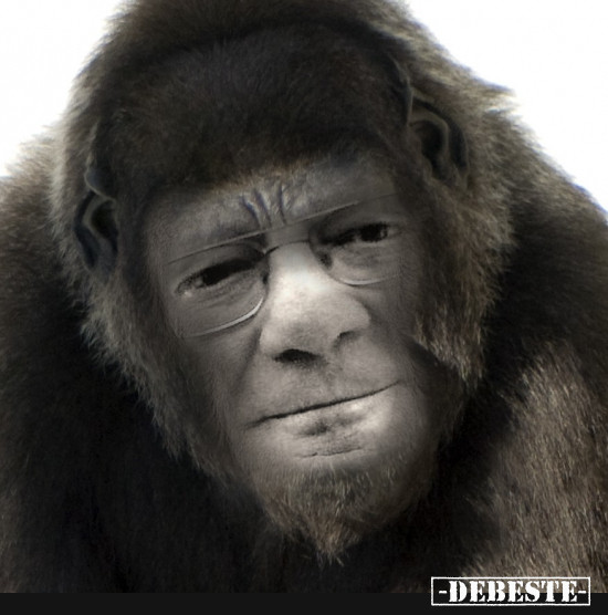  - Lustige Bilder | DEBESTE.de