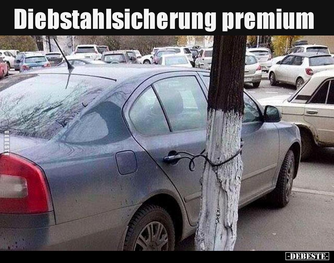 Diebstahlsicherung premium