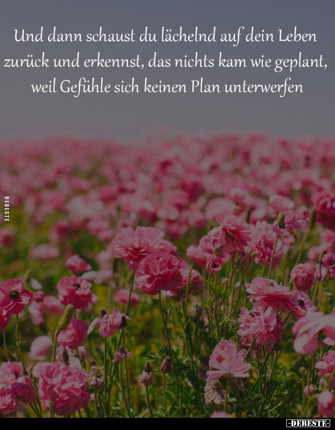 Und dann schaust du lächelnd 
auf dein Leben zurück und 
erkennst, das nichts kam wie 
geplant, weil Gefühle sich 
keinen...