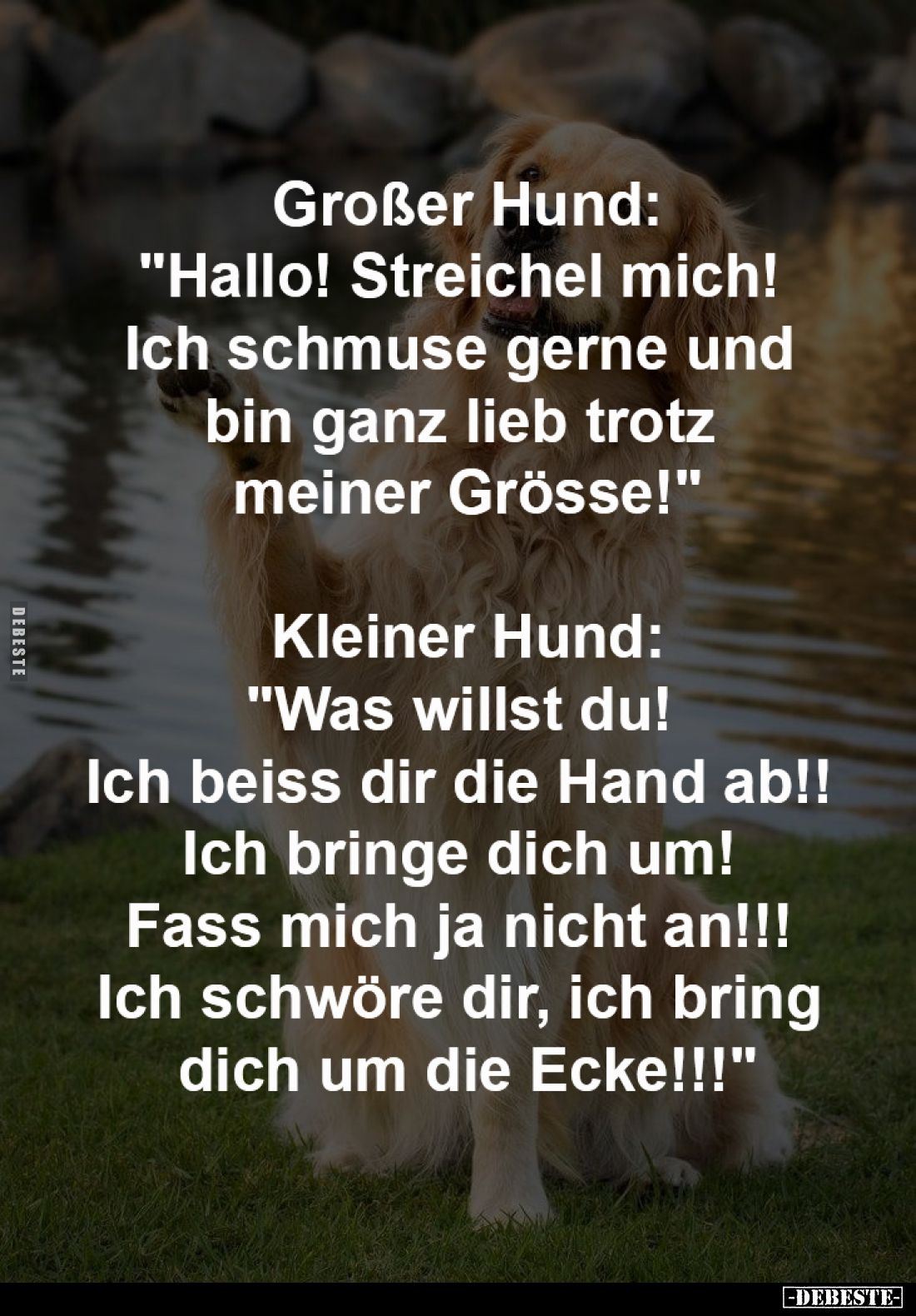 Großer Hund:
"Hallo! Streichel mich! 
Ich schmuse gerne und 
bin ganz lieb trotz 
meiner Grösse!"
-
Kleiner H...