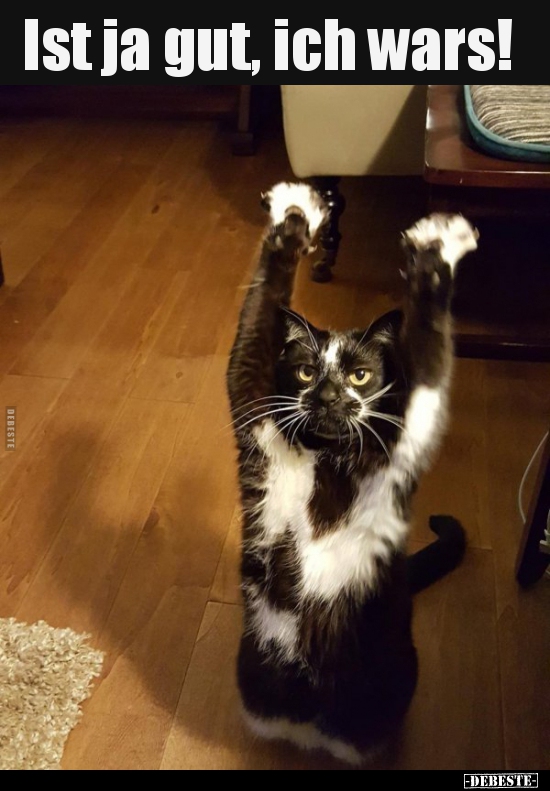Ist ja gut, ich wars!..