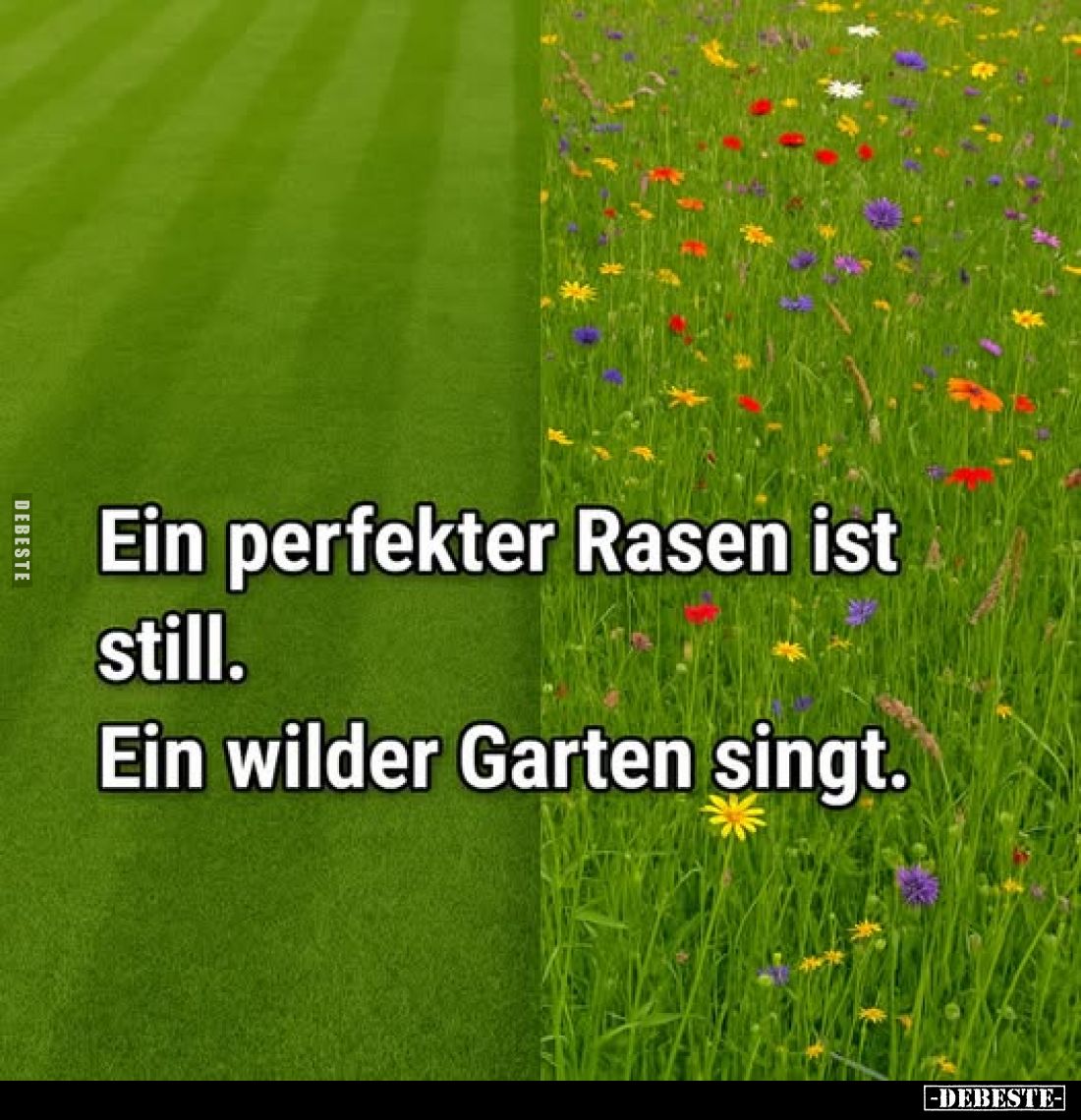 Ein perfekter Rasen ist still.
Ein wilder Garten singt.
