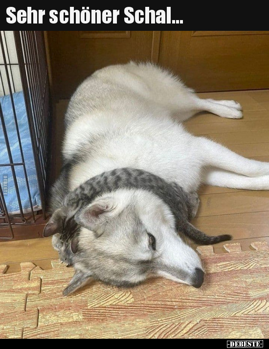 Sehr schöner Schal...