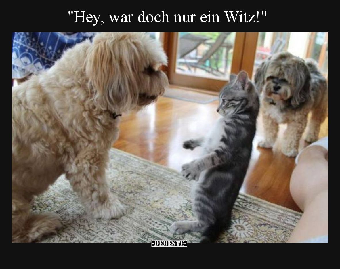 "Hey, war doch nur ein Witz!"