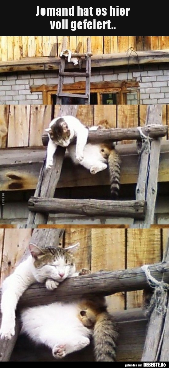 Jemand hat es hier voll gefeiert..
