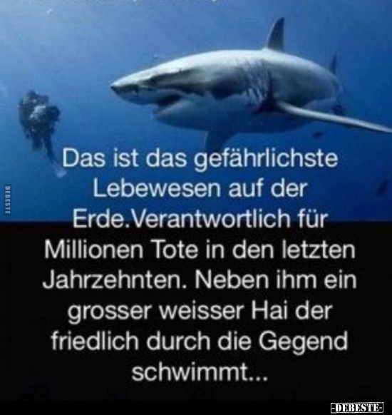 Das ist das gefährlichste Lebewesen auf der Erde..