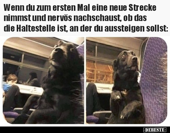 Wenn du zum ersten Mal eine neue Strecke nimmst und nervös.. - Lustige Bilder | DEBESTE.de