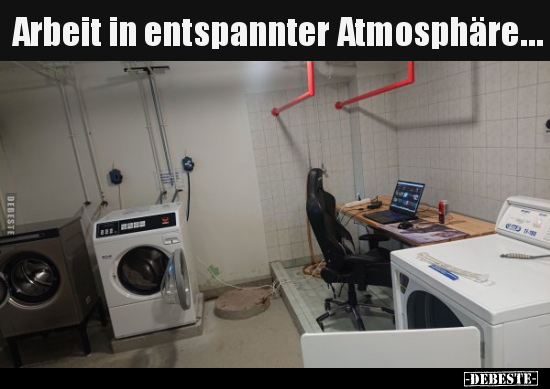 Arbeit in entspannter Atmosphäre…..