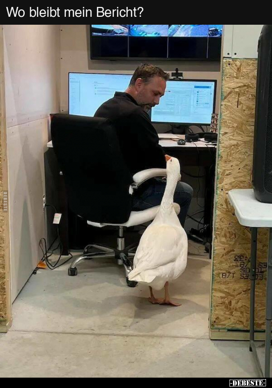 Wo bleibt mein Bericht?..