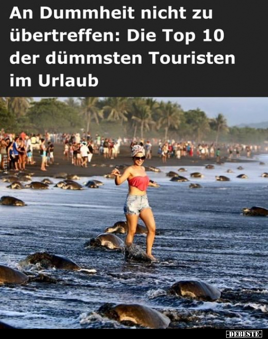  Die Top 10 der dümmsten Touristen im Urlaub.. - Lustige Bilder | DEBESTE.de