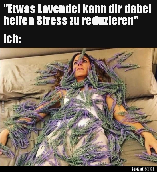 "Etwas Lavendel kann dir dabei helfen Stress zu.." - Lustige Bilder | DEBESTE.de