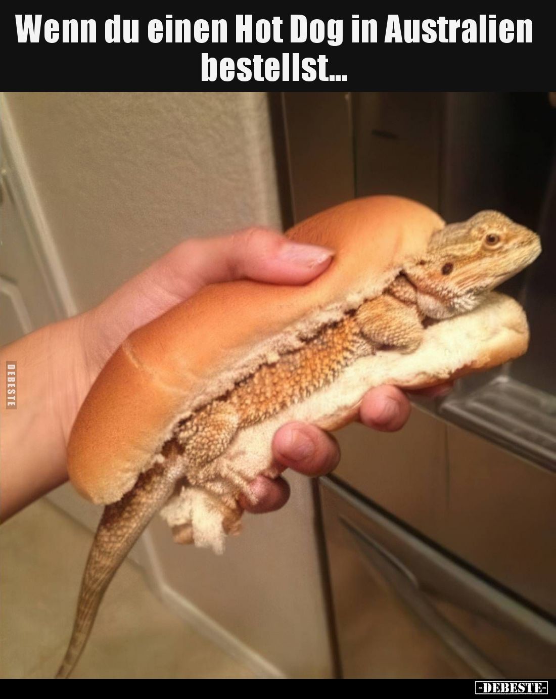 Wenn du einen Hot Dog in Australien bestellst...