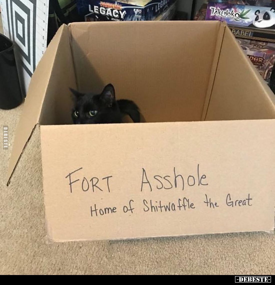 Fort Asshole - Home of Shitwaffle the Great.