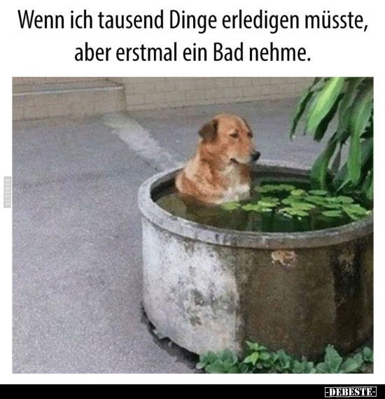 Wenn ich tausend Dinge erledigen müsste, aber erstmal ein.. - Lustige Bilder | DEBESTE.de