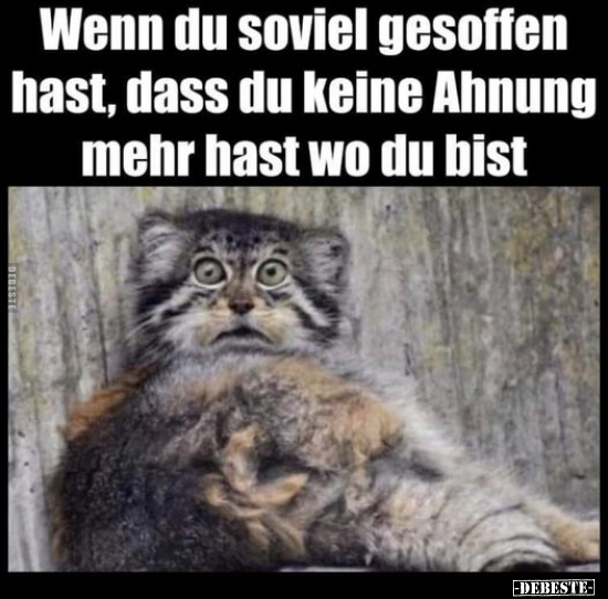 Wenn du soviel gesoffen hast.. - Lustige Bilder | DEBESTE.de