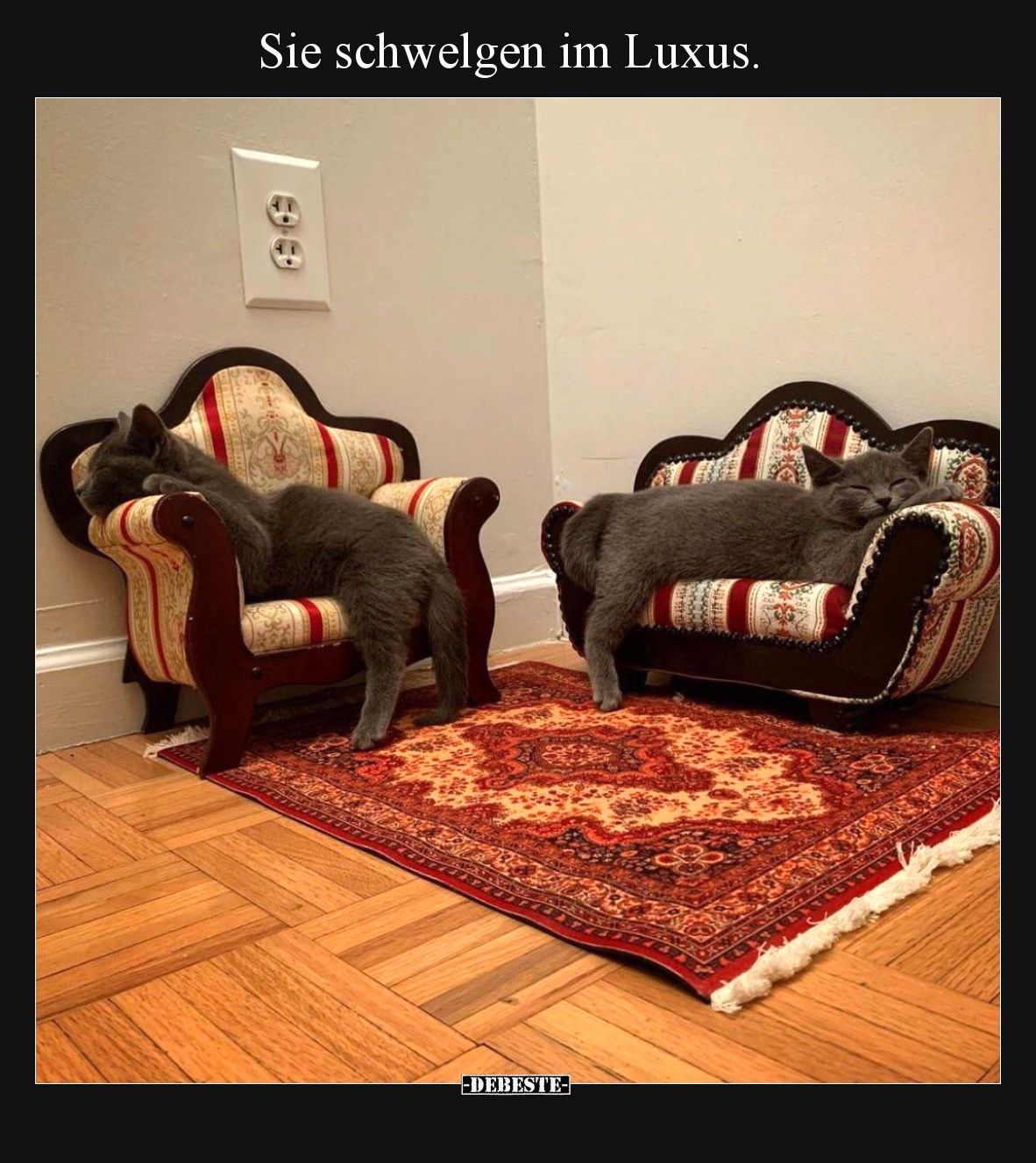 Sie schwelgen im Luxus.