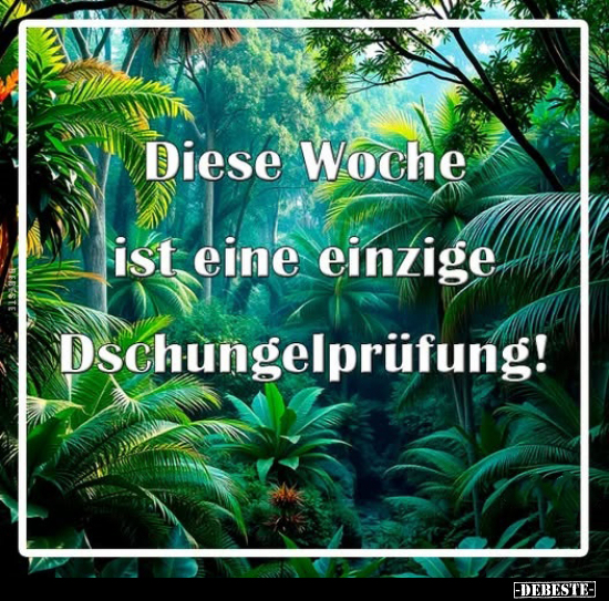 Woche