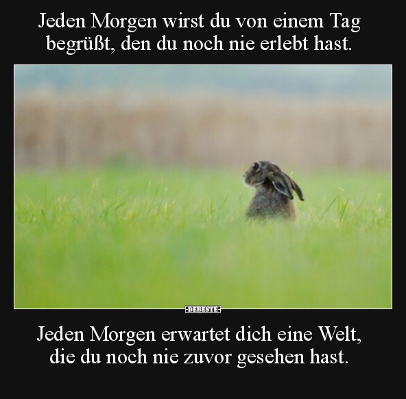 Jeden Morgen wirst du von einem Tag begrüßt, den du noch.. - Lustige Bilder | DEBESTE.de