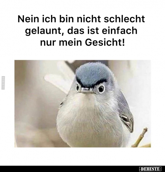 Nein ich bin nicht schlecht gelaunt.. - Lustige Bilder | DEBESTE.de