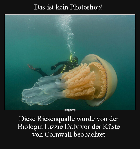 Das ist kein Photoshop!.. - Lustige Bilder | DEBESTE.de