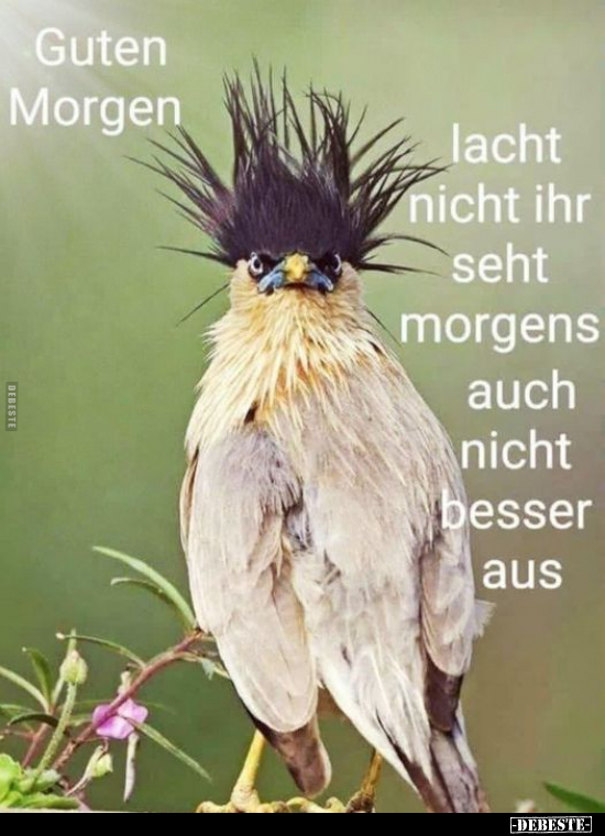 Guten Morgen.. - Lustige Bilder | DEBESTE.de