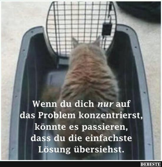 Wenn du dich nur auf das Problem konzentrierst..