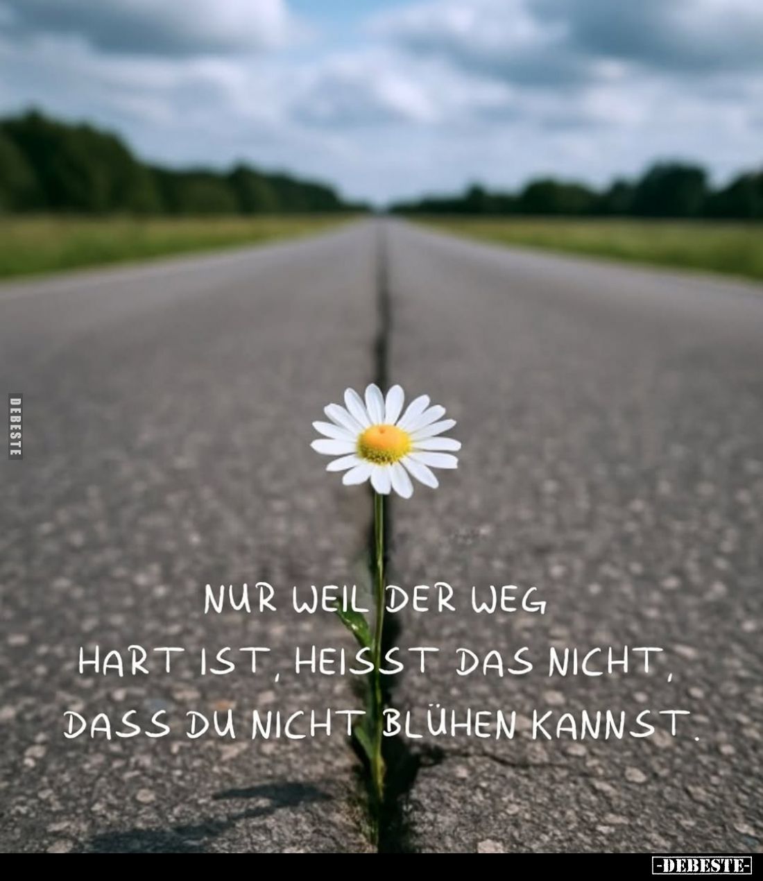 Nur weil der weg hart ist, heisst das nicht, dass du nicht blühen kannst
