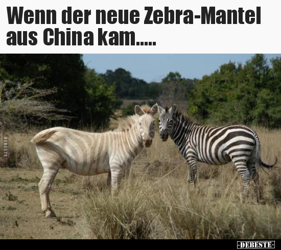 Wenn der neue Zebra-Mantel aus China kam.....