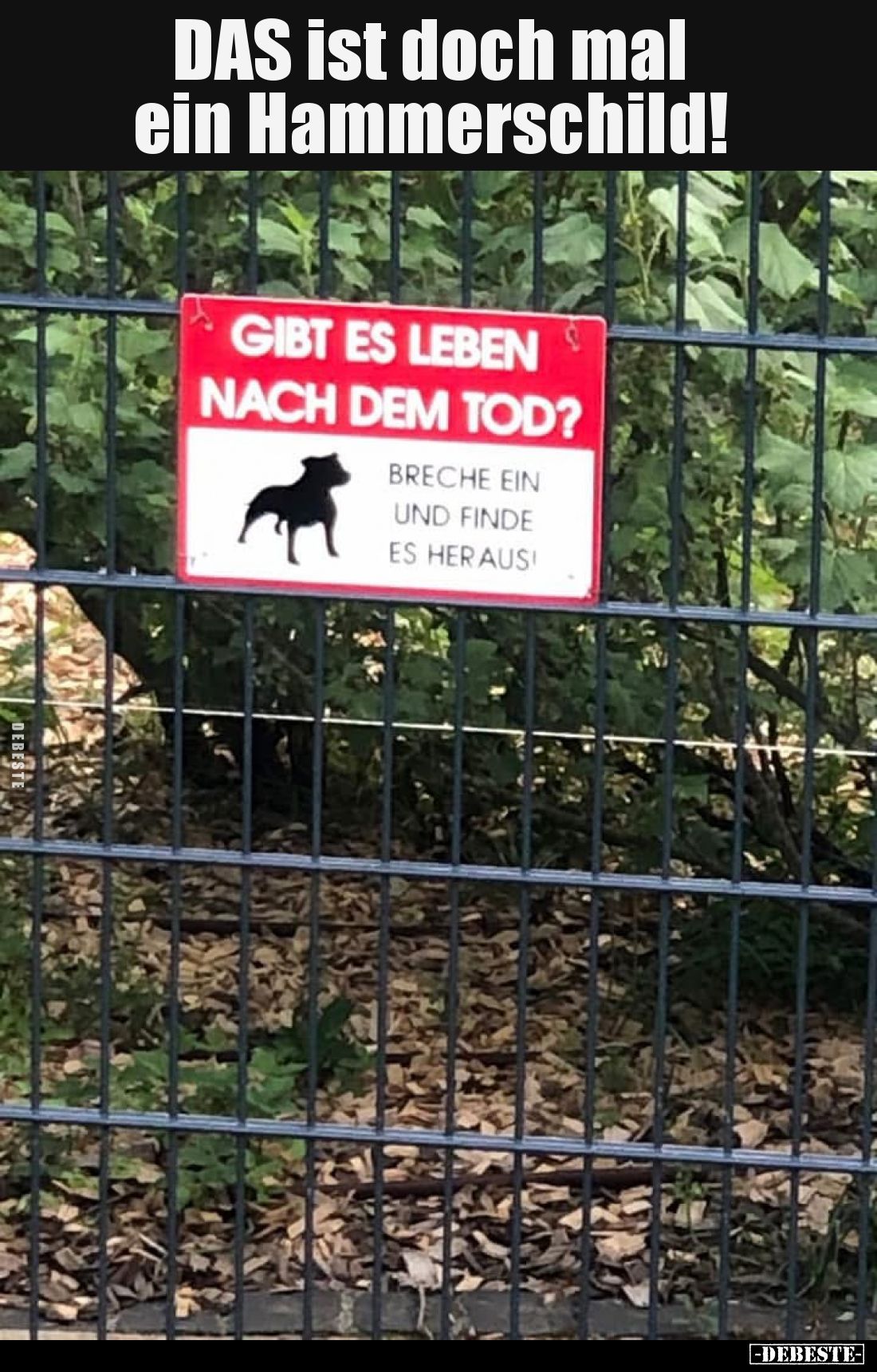 DAS ist doch mal ein Hammerschild!