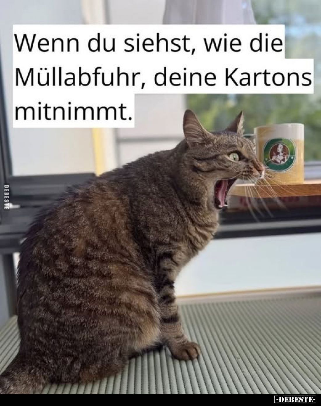 Wenn du siehst, wie die Müllabfuhr, deine Kartons mitnimmt.
