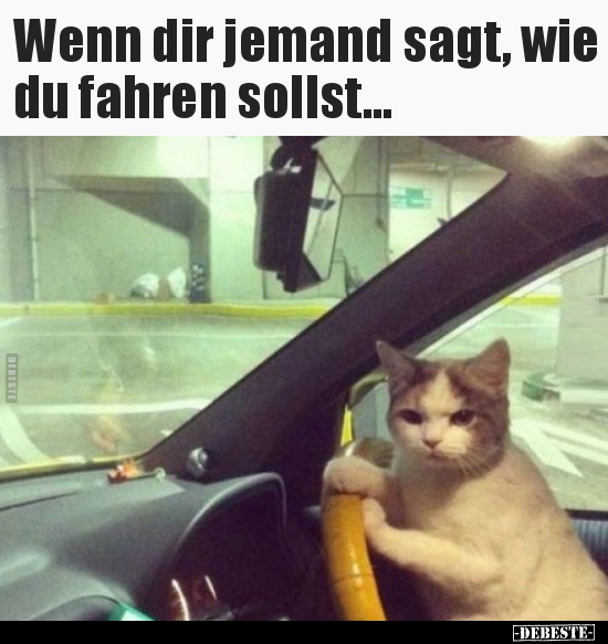 Wenn dir jemand sagt, wie du fahren sollst... - Lustige Bilder | DEBESTE.de