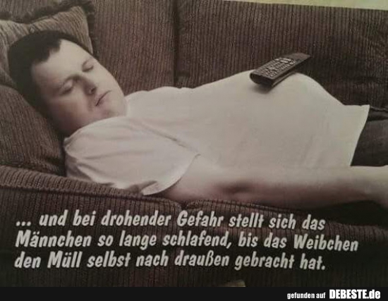 ...und bei drohender Gefahr stellt sich das Männchen..