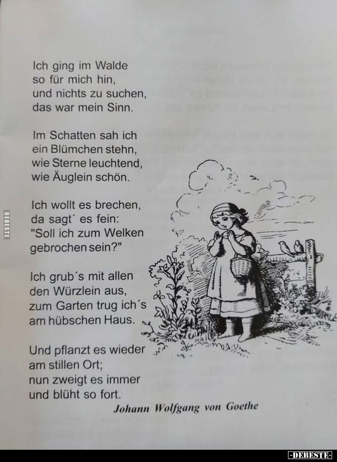 Ich ging im Walde so für mich hin, und nichts zu suchen, das war mein Sinn.
Im Schatten sah ich ein Blümchen stehn, wie Ster...