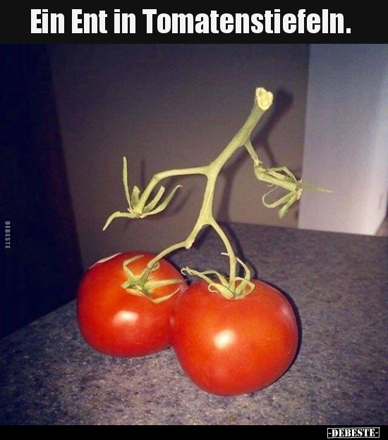 Ein Ent in Tomatenstiefeln... - Lustige Bilder | DEBESTE.de