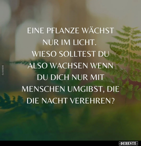 Eine Pflanze wächst nur im Licht.. - Lustige Bilder | DEBESTE.de