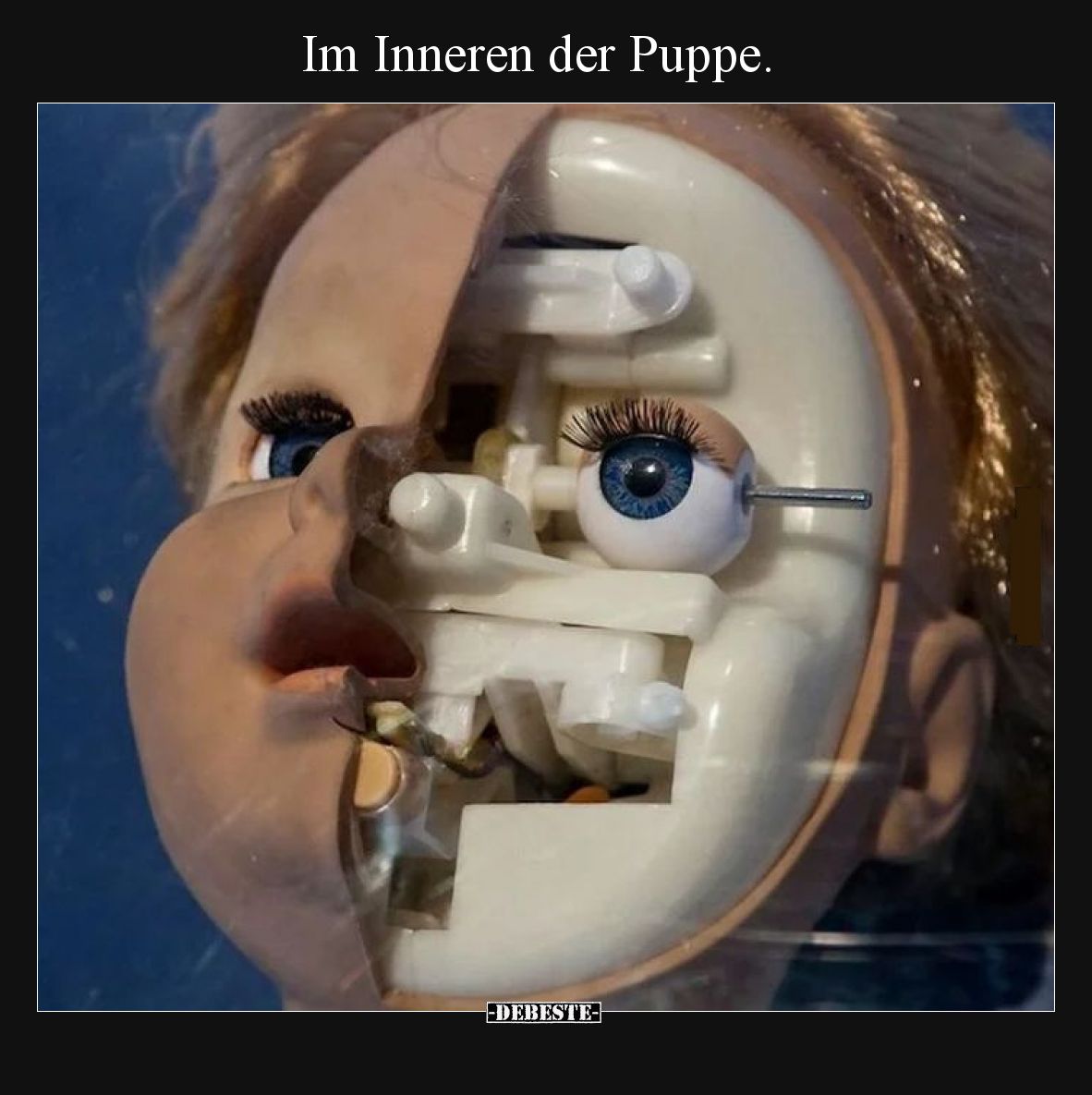 Im Inneren der Puppe