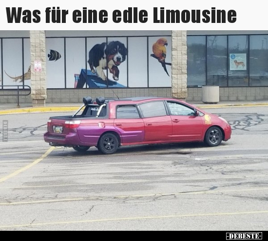 Was für eine edle Limousine..