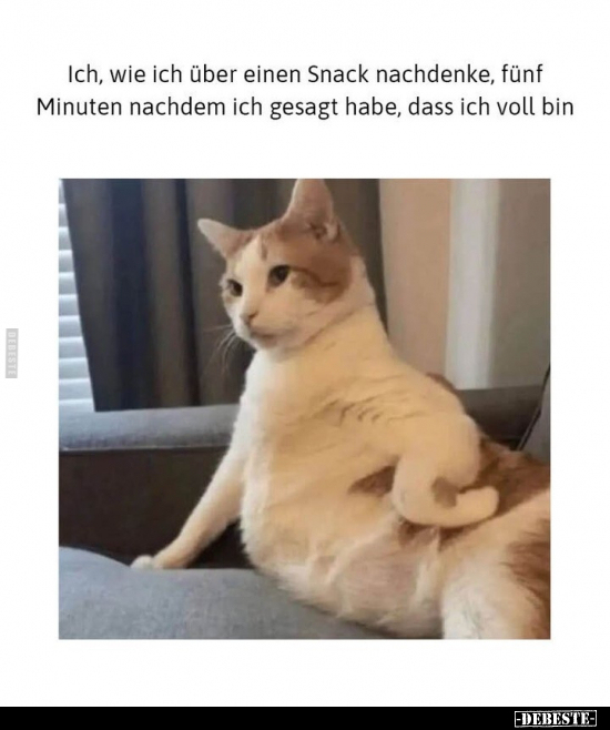 Ich, wie ich über einen Snack nachdenke.. - Lustige Bilder | DEBESTE.de