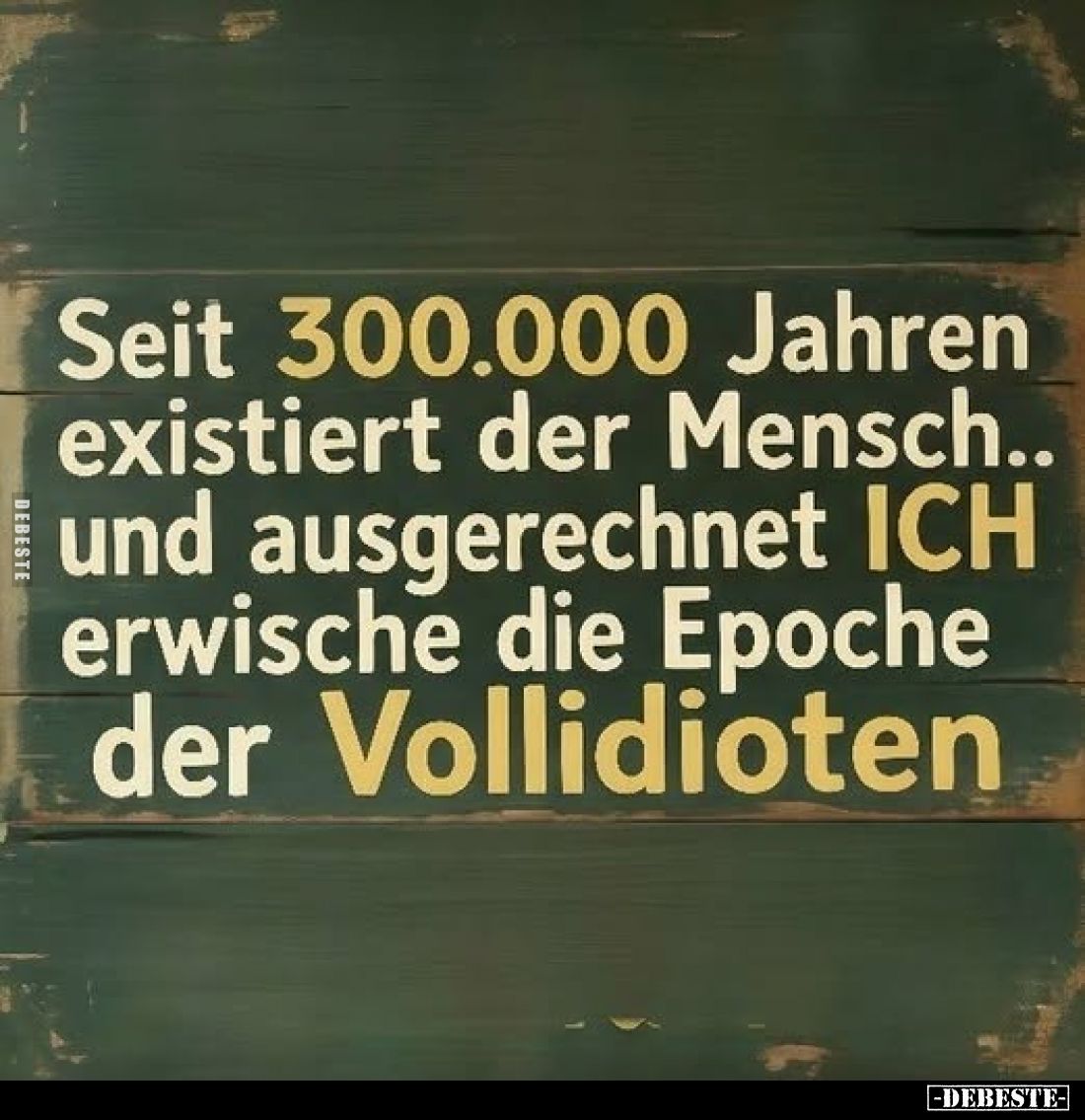 Seit 300.000 Jahren existiert der Mensch.. und ausgerechnet ICH erwische die Epoche der Vollidioten