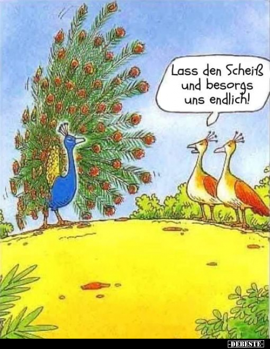 Lass den Scheiß und besorgs uns endlich!