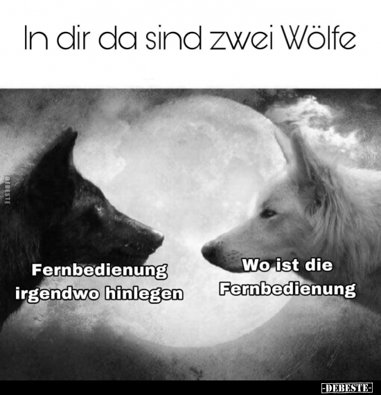 In dir da sind zwei Wölfe: Fernbedienung irgendwo.. - Lustige Bilder | DEBESTE.de